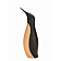 Wenge